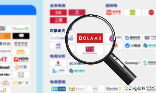 博拉網(wǎng)絡(luò) 以多項(xiàng)數(shù)字化服務(wù)領(lǐng)先優(yōu)勢(shì)，榮登中國(guó)數(shù)字營(yíng)銷生態(tài)圖